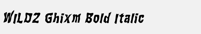 WILD2 Ghixm Bold Italic